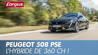 Peugeot 508 PSE : les allemandes dans le viseur