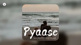 PYAASE - Slowed+Reverb -Preetinder & Bohemia | Nargis Fakhri Rajat Nagpal | Anshul Garg