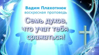 Вадим Плахотнюк Семь духов, что учат тебя сражаться