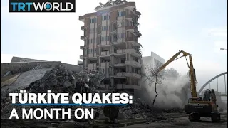 Türkiye: one month after the deadly quakes