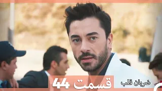 Zarabane Ghalb - ضربان قلب قسمت 44