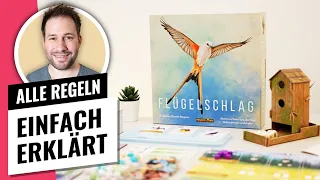 Flügelschlag direkt losspielen - Regelvideo - Nur 10 Minuten!