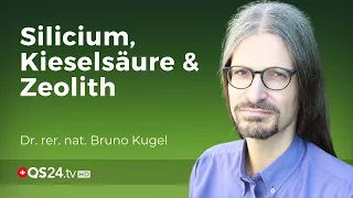 Der Einfluss von Silicium auf die Verdauung | Dr. rer. nat. Bruno Kugel | Naturmedizin | QS24