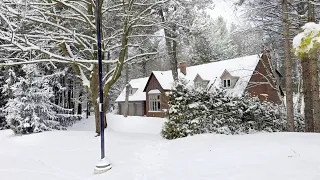 Winter Wonderland Walk after Spring Snowfall in Toronto area