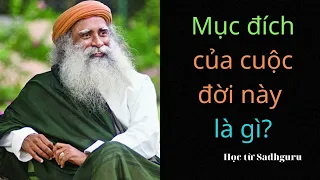 Mục đích của cuộc sống là gì? - Học từ Sadhguru #18