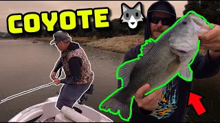 RETURN to COYOTE LAKE on a BOAT! (Bass Fishing San Jose)