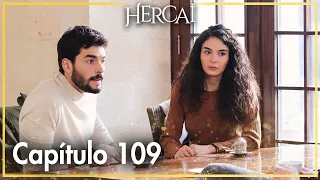 Hercai - Capítulo 109
