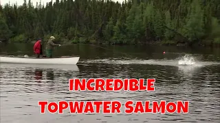 Incredible Topwater Atlantic Salmon Fishing | Labrador