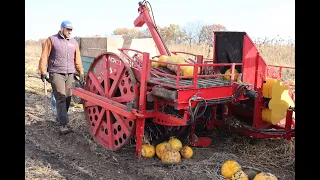 ЗБІР ГАРБУЗА 22.10.2021. ГАРБУЗОВИЙ КОМБАЙН MOROZ З ПІДБОРЩИКОМ.