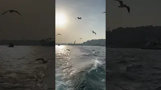 Turkey, Istanbul- cinematic mode  iphone 13 pro