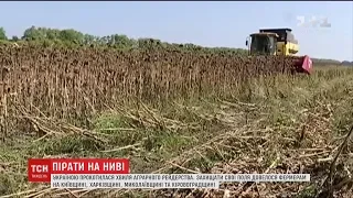Україною прокотилася хвиля аграрного рейдерства
