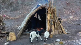 Nepali Himalayan Village Life | sheep shepherd life in Nepal | organic himalayan village food |