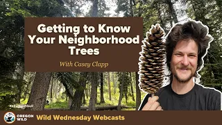 Webcast: Getting to Know Your Neighborhood Trees