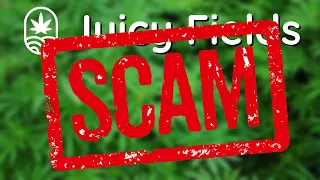 🚨⚠️Juicy Fields SCAM ⚠️🚨  Information und ❗Aktuelles Video Statement von Alan Glance (Ehemals CEO)❗