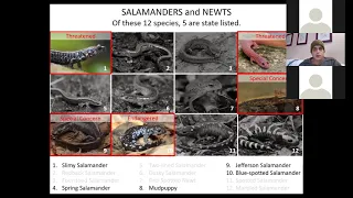 Amphibians of Connecticut: Diversity, Identification and Conservation