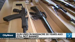 Feds vow to ban some semi-automatic guns
