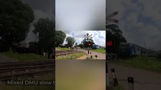 Passenger Train Crossing in Sri Lanka