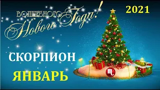 ♏ СКОРПИОН ♏.  ❄️ ЯНВАРЬ 2021 г. 🎄 ПОДРОБНЫЙ ТАРО ПРОГНОЗ 🌟