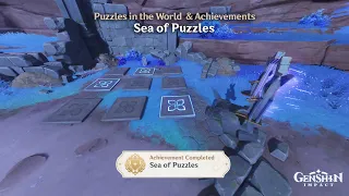 Genshin Impact - Puzzle/Achievement: Sea of Puzzles