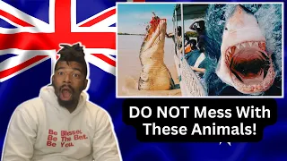 AMERICAN REACTS TO The Most DANGEROUS ANIMALS In Australia