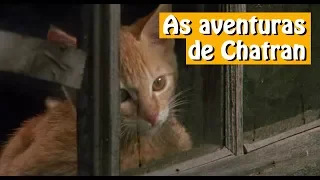 As aventuras de Chatran - Dublado - Filme Completo