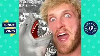 TRY NOT TO LAUGH - FUNNY SHARK PUPPET Videos!
