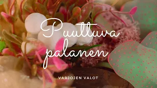 Puuttuva palanen/Ajaton viesti 💎❤️