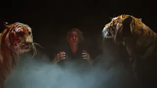 TILL LINDEMANN - Altes Fleisch