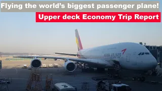 UPPER DECK | Asiana Airlines | Airbus A380 | Los Angeles to Seoul Incheon | Economy