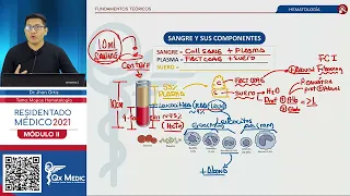 MAPAS MENTALES I - HEMATOLOGÍA