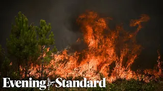 European Heatwave: Wildfire rages in south western France