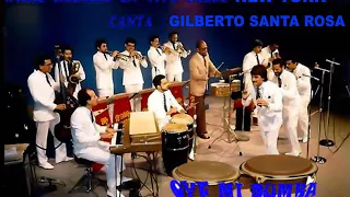 WILLIE ROSARIO Y SU ORQUESTA - *LLUVIA* CANTA - GILBERTO SANTA ROSA ( Audio en Vivo New York 80s)