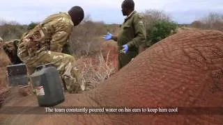 Saving Lives from the Sky | Sheldrick Trust