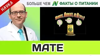 0040.Вреден ли Yerba Maté? | Больше чем ФАКТЫ О ПИТАНИИ - Майкл Грегер