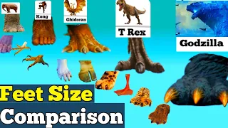 Feet Size Comparison / Datacamparisonwork