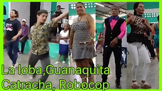 GUANAQUITA, LA LOBA 205 #yajaira #cumbia #baile #bailamos #dance #musica #bailetipico