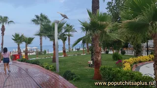 Sealife Kemer Resort 5* Turkey с турагентством Попутчица