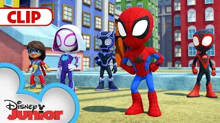 Ms. Marvel & Black Panther | Compilation | Marvel's Spidey and his Amazing Friends | @disneyjunior