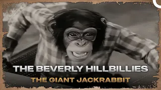 The Beverly Hillbillies -Episode 52-The Giant Jackrabbit | Classic Hollywood TV Series