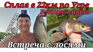 Сплав 22 км по Угре в Калужской области! рыбалка на хищника в июле в жару