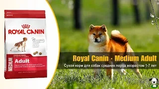 Сухой корм для собак средних пород возрастом 1-7 лет · Royal Canin Medium Adult