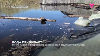 В селе Коркино Упоровского района вода продолжает прибывать