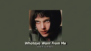 Whataya Want From Me- Adam Lambert (𝙎𝙡𝙤𝙬𝙚𝙙 )