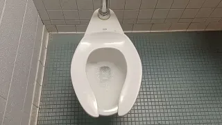 Another Zurn Toilet TP Test At My High School (Both Unisex Restrooms)