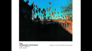 The Cinematic Orchestra - To Build A Home (Instrumental Version)