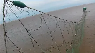 video 1/3 staking out the trammel nets for cod.