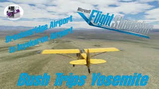 Microsoft Fight Simulator 2020/ Bush Trips/ Yosemite/ Leg 01