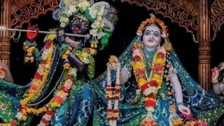 Isckon Radha Madhav shringar darshan 💕 with asthasakhi 🦚#mayapur #shorts #shringar drashan 🦚#radhe