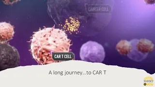 CAR T-cells in Non-Hodgkin Lymphoma, A Hopeful Option 2022