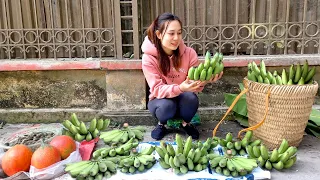 Harvesting Banana Fruit Garden Goes to the market sell | Ngân Daily Life